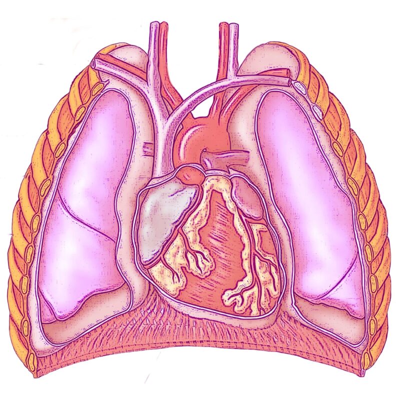 precisely-speaking-the-impact-of-precision-medicine-on-respiratory